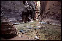 The Narrows at the Orderville confluence. Zion National Park ( color)