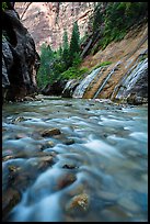 The Virgin River below Mystery Falls, the Narrows. Zion National Park ( color)