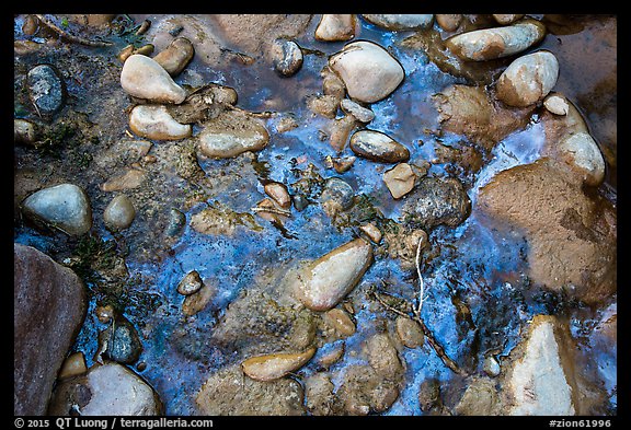 Rocks and oils. Zion National Park, Utah, USA.