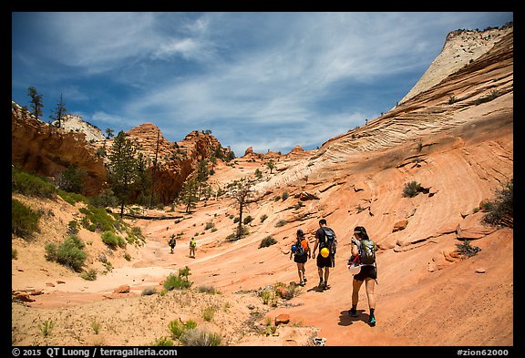 Hikers on slickrock. Zion National Park (color)