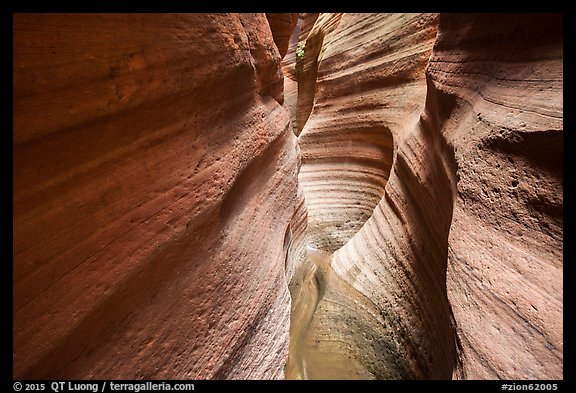 Slot Canyon, Keyhole Canyon. Zion National Park (color)