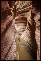 Water-scuptured walls of Keyhole Canyon. Zion National Park ( color)