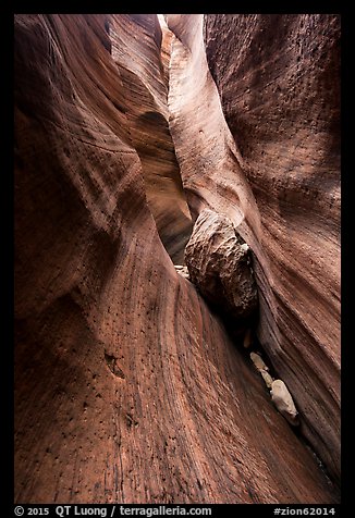 Stone wedged in slot canyon, Keyhole Canyon. Zion National Park (color)
