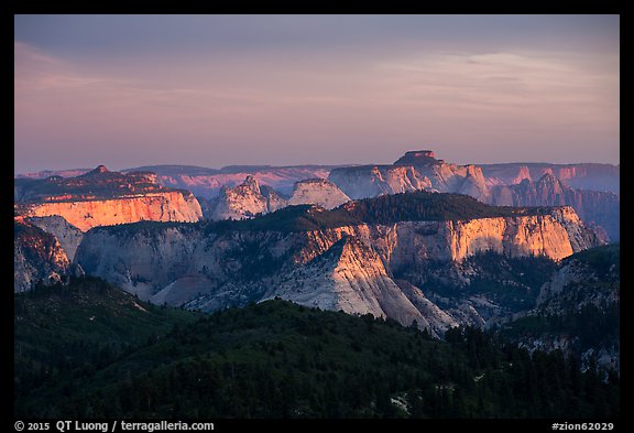 Forested plateaus and canyons at sunset from Lava Point. Zion National Park (color)