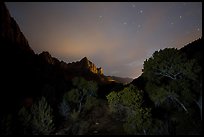 Trees and Watchman at night. Zion National Park, Utah, USA.