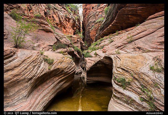 Pool and narrows, Echo Canyon. Zion National Park (color)