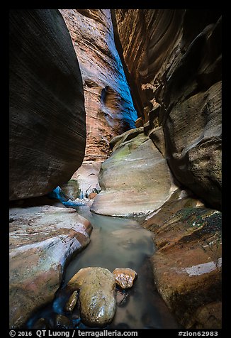 Stream in slot canyon, Orderville Canyon. Zion National Park (color)