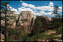 Great White Throne and Angels Landing from West Rim. Zion National Park ( color)