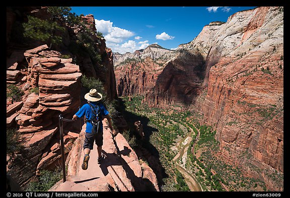 Hiker stepping next to sheer cliff, Angels Landing. Zion National Park (color)
