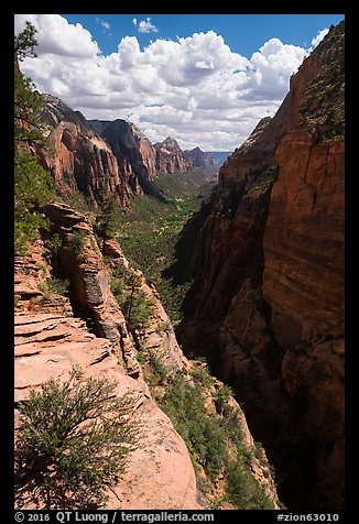 Zion Canyon from Angels Landing. Zion National Park (color)