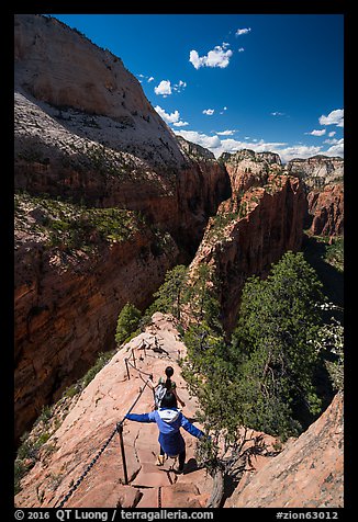 Hikers using chains and steps to descend Angels Landing. Zion National Park (color)