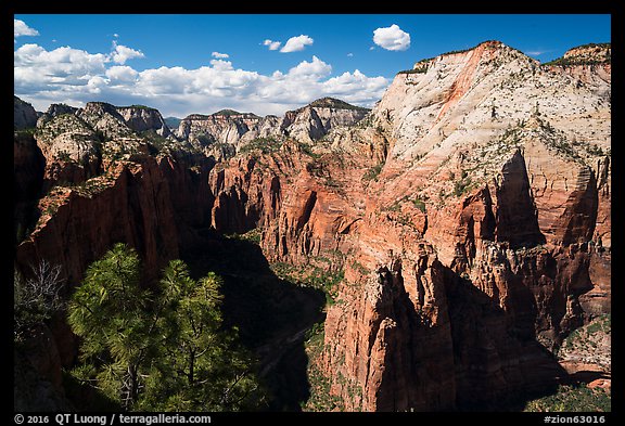 View north from Angels Landing. Zion National Park (color)