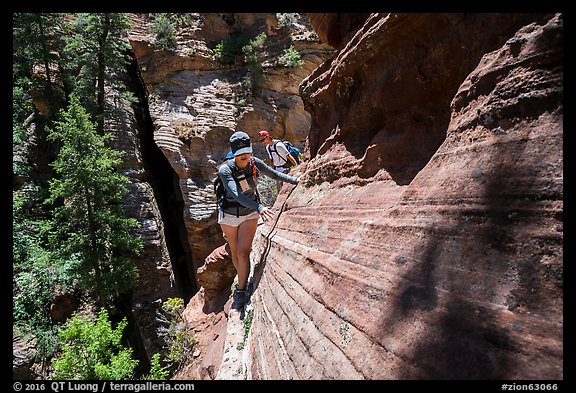 Hiker on narrow ledge, Russell Gulch. Zion National Park (color)