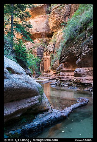 Emerald waters and canyon walls along Left Fork. Zion National Park (color)