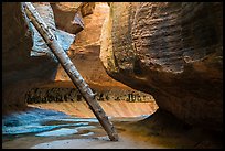Log called North Pole, Upper Subway. Zion National Park ( color)