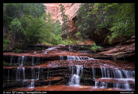 Archangel Falls in the spring. Zion National Park (color)