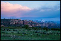 View from Kolob Terraces towards canyons at sunset. Zion National Park ( color)