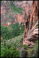Cliff above Emerald Pools. Zion National Park ( color)