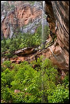 Waterfall above Lower Emerald Pool. Zion National Park ( color)