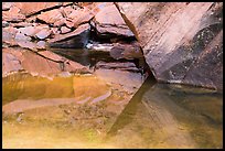 Rock reflections, Upper Emerald Pool. Zion National Park ( color)