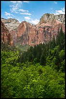 Zion Canyon from Upper Emerald Pool. Zion National Park ( color)
