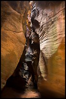 Narrows, Pine Creek Canyon. Zion National Park ( color)