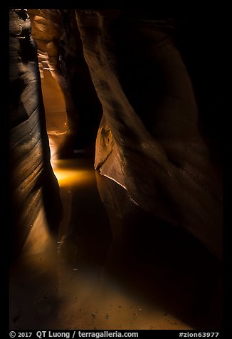 Light in dark flooded Pine Creek Canyon. Zion National Park (color)