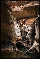 Canyonneer rappelling into the Subway. Zion National Park, Utah ( color)