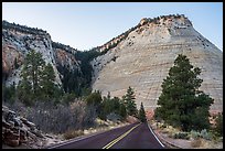 Road and Checkerboard Mesa. Zion National Park, Utah, USA.