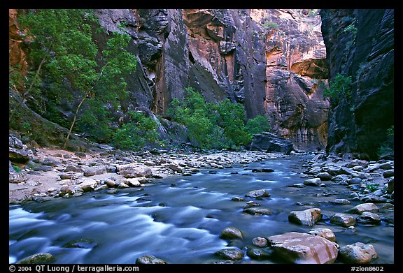 Virgin River in  Narrows. Zion National Park, Utah, USA.