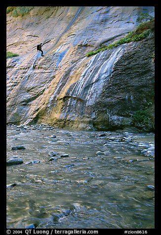 Canyoneer rappelling alongside Mystery Falls, the Narrows. Zion National Park, Utah, USA.
