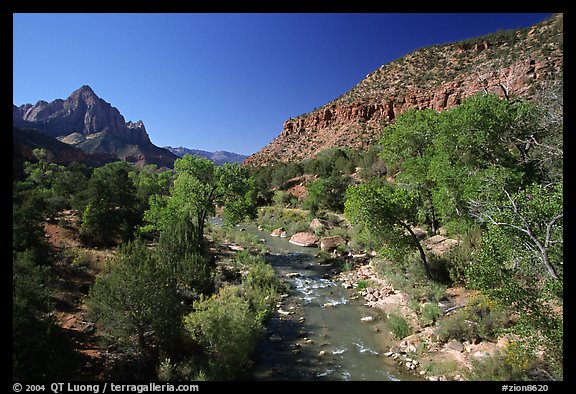 Virgin river and Watchman, spring morning. Zion National Park, Utah, USA.