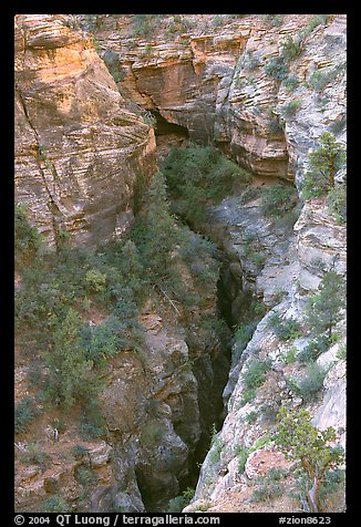 Slot Canyon seen from above. Zion National Park (color)