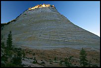 Checkerboard Mesa, sunrise. Zion National Park, Utah, USA.