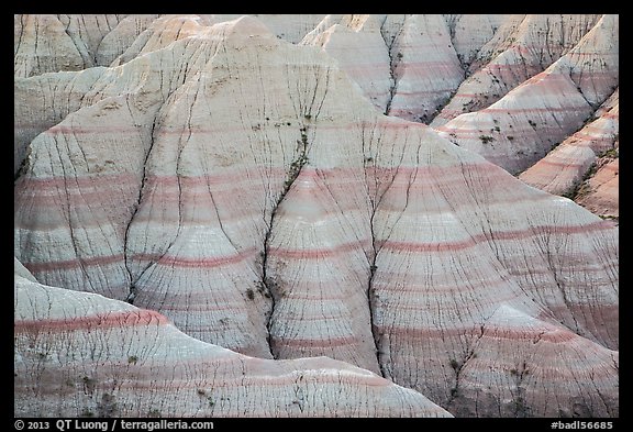 Paleosols fossil soils mixed with Brule Formation. Badlands National Park, South Dakota, USA.