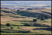 Rolling hills, Badlands Wilderness. Badlands National Park, South Dakota, USA. (color)