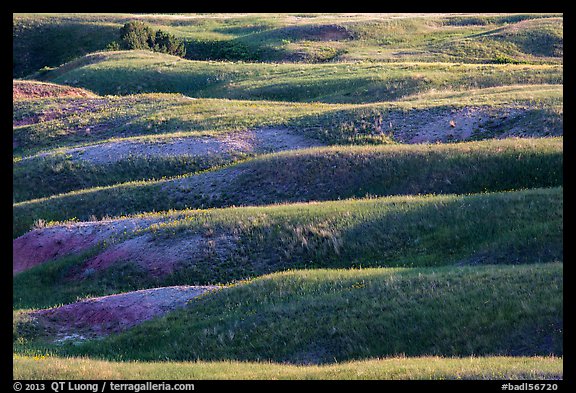 Grassy ridges, Badlands Wilderness. Badlands National Park, South Dakota, USA.