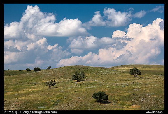 Rolling hills, junipers, afternoon clouds. Badlands National Park, South Dakota, USA.
