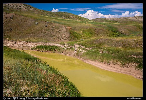 Sage Creek in summer. Badlands National Park (color)