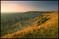 Prairie grasses and erosion canyon,  southern unit, sunrise. Badlands National Park, South Dakota, USA.