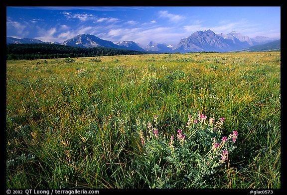 Prairie and Lewis range. Glacier National Park, Montana, USA.