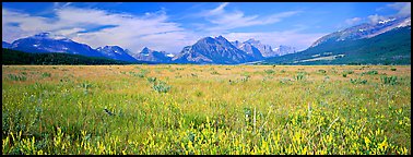 Prairie and mountains. Glacier National Park (Panoramic color)