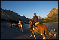 Horses on the shores of Swiftcurrent Lake, sunrise. Glacier National Park, Montana, USA.