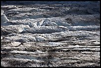 Crevasses on Grinnell Glacier. Glacier National Park, Montana, USA. (color)