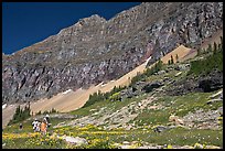 Family hiking on trail amongst wildflowers near Hidden Lake. Glacier National Park, Montana, USA. (color)
