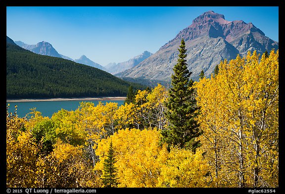 Autumn color, Rising Wolf Mountain, Lower Two Medicine Lake. Glacier National Park, Montana, USA.