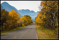 Road in autumn, Many Glacier. Glacier National Park, Montana, USA.