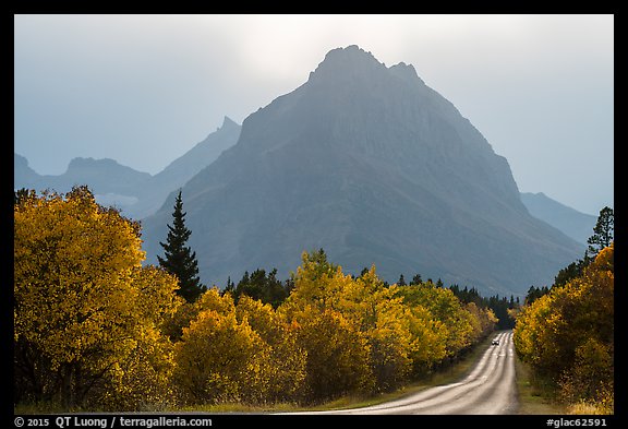 Road, forest in autum foliage, and park, Many Glacier. Glacier National Park, Montana, USA.