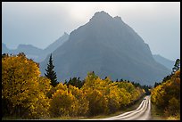 Road, forest in autum foliage, and park, Many Glacier. Glacier National Park, Montana, USA.