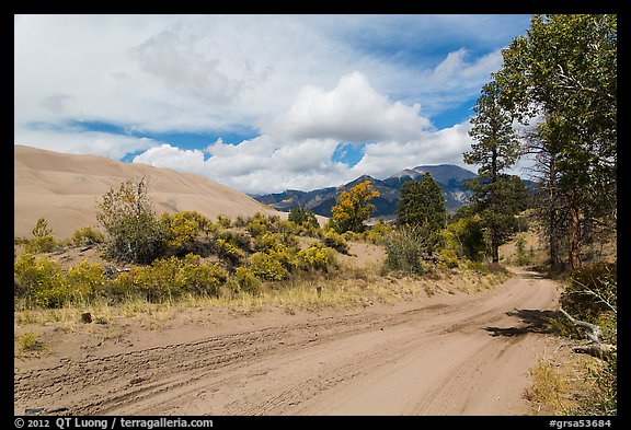 Medano Pass primitive road. Great Sand Dunes National Park and Preserve (color)